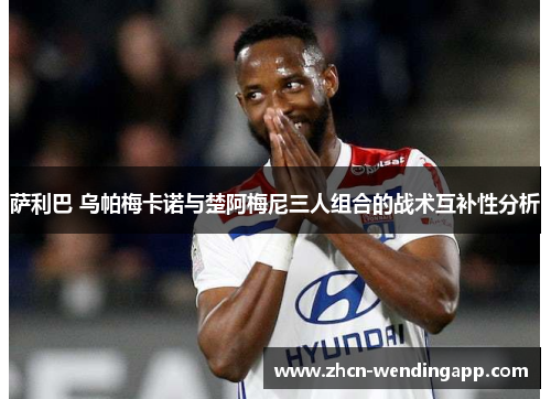 萨利巴 乌帕梅卡诺与楚阿梅尼三人组合的战术互补性分析 萨利巴 乌帕梅卡诺与楚阿梅尼三人组合的战术互补性分析