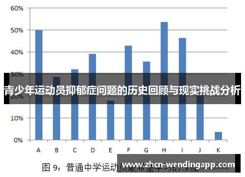 青少年运动员抑郁症问题的历史回顾与现实挑战分析
